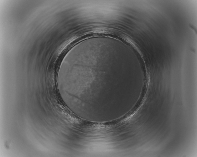 X0000099950829200806131445