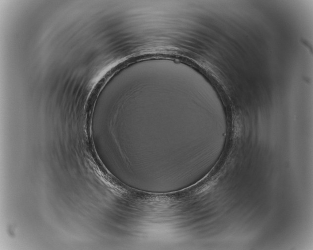 X0000099950830200806131445