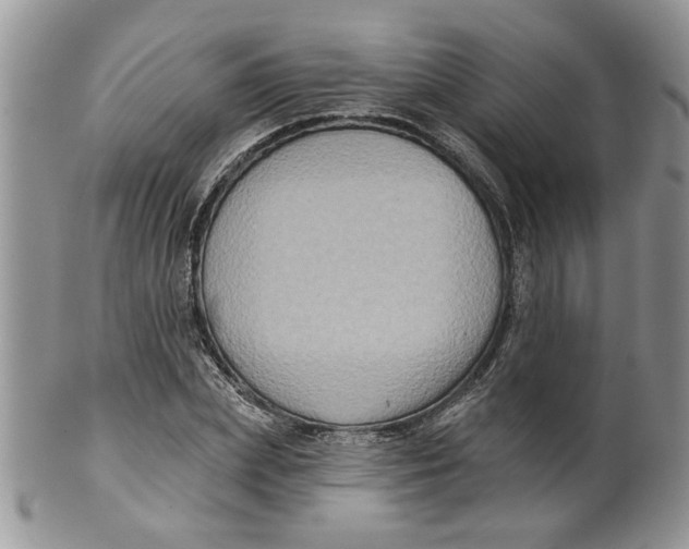 X0000099950831200806131445