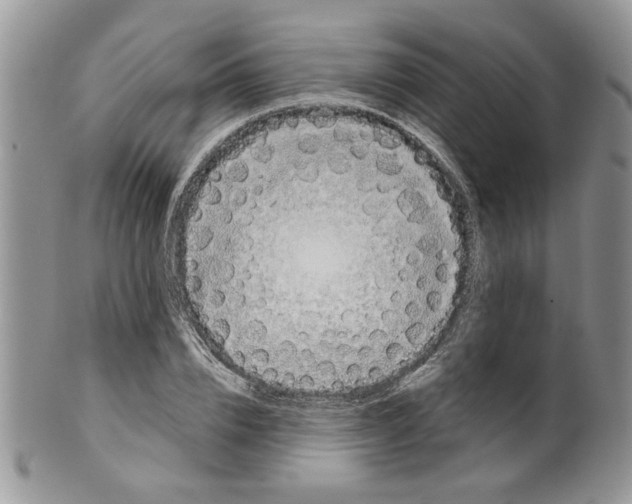 X0000099950832200806131445