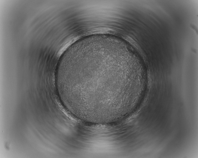 X0000099950834200806131445