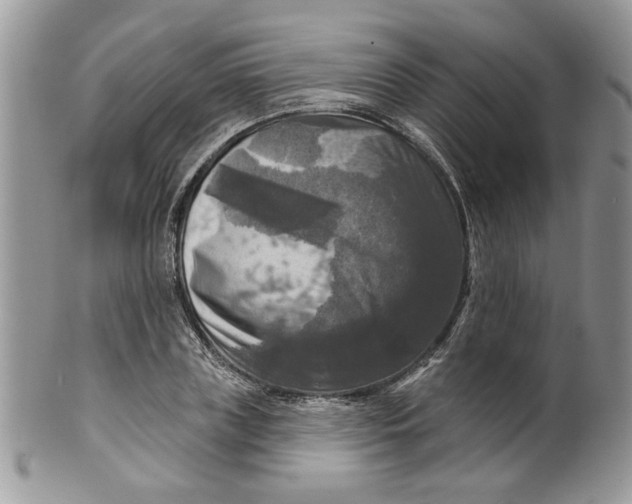 X0000099950835200806131445