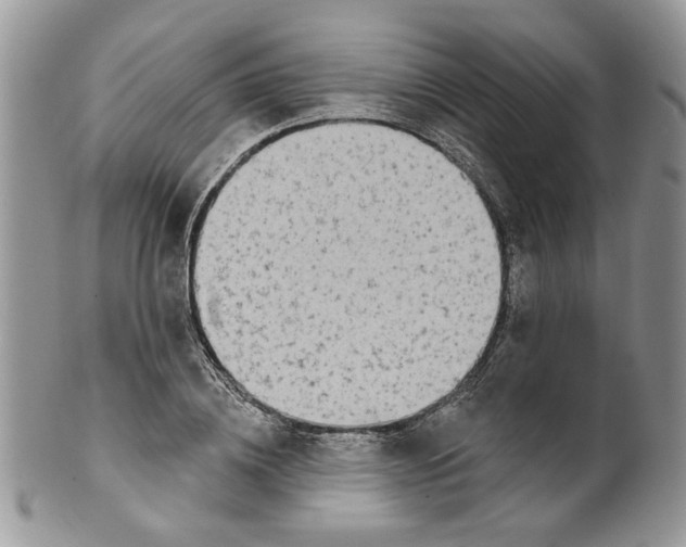 X0000099950836200806131445