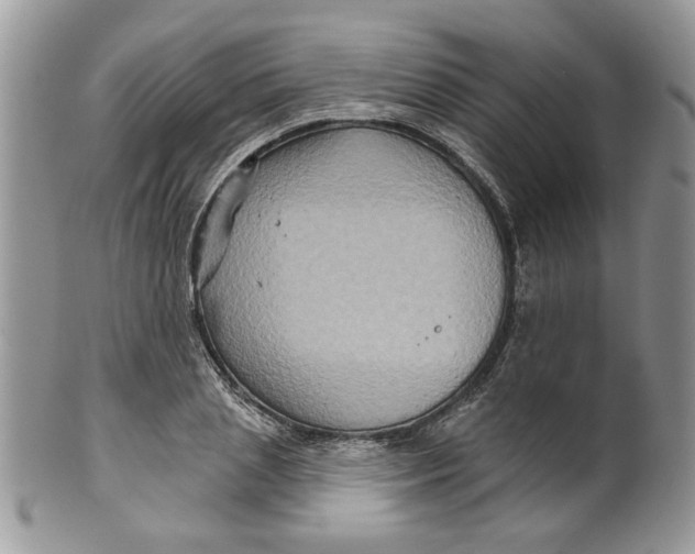 X0000099950837200806131445