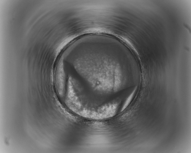 X0000099950839200806131446