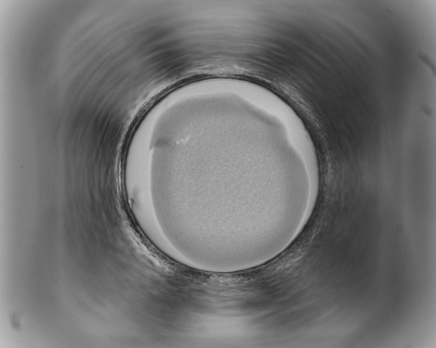 X0000099950840200806131446