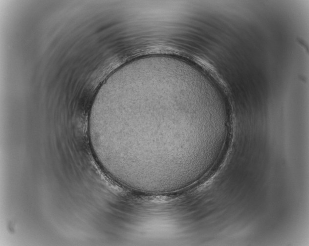 X0000099950841200806131446