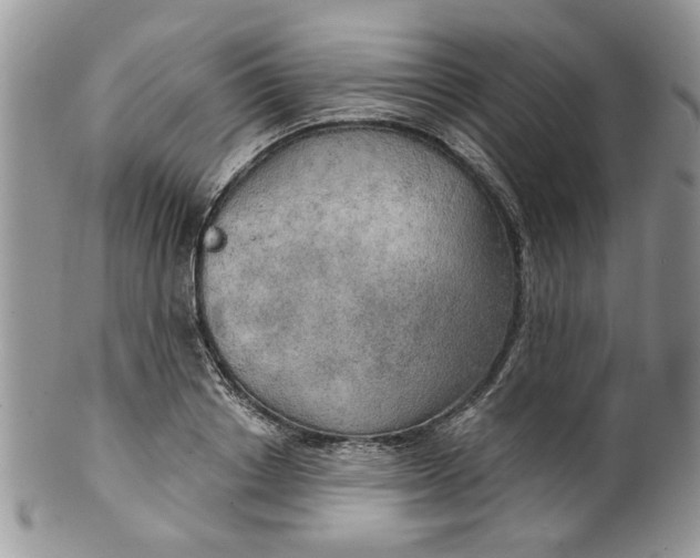 X0000099950842200806131446