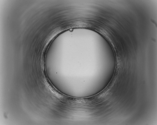 X0000099950843200806131446