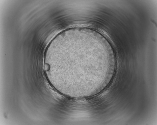 X0000099950844200806131446