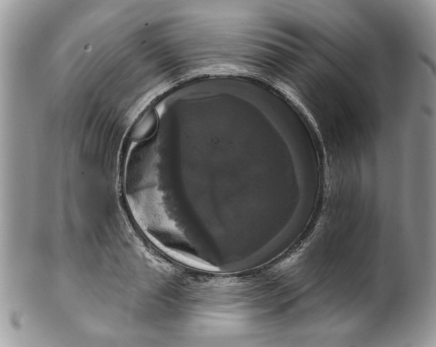 X0000099950845200806131446