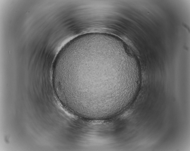 X0000099950846200806131446