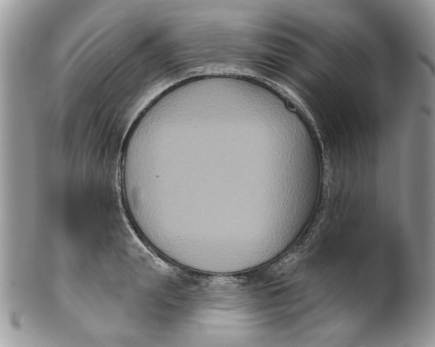 X0000099950847200806131446