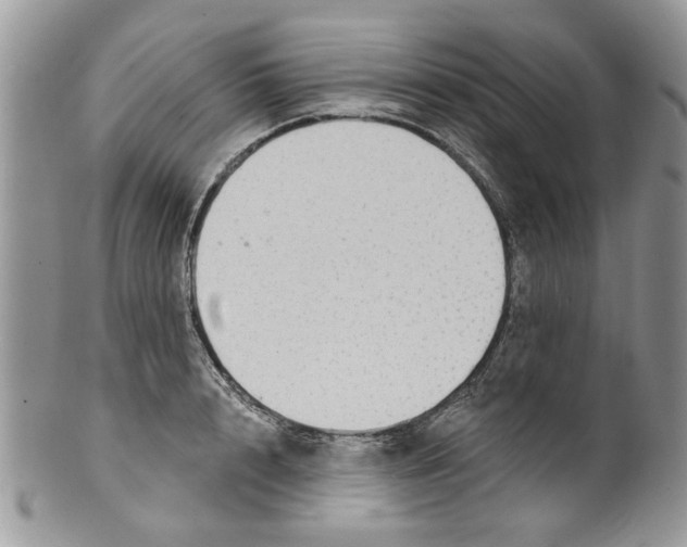 X0000099950848200806131446