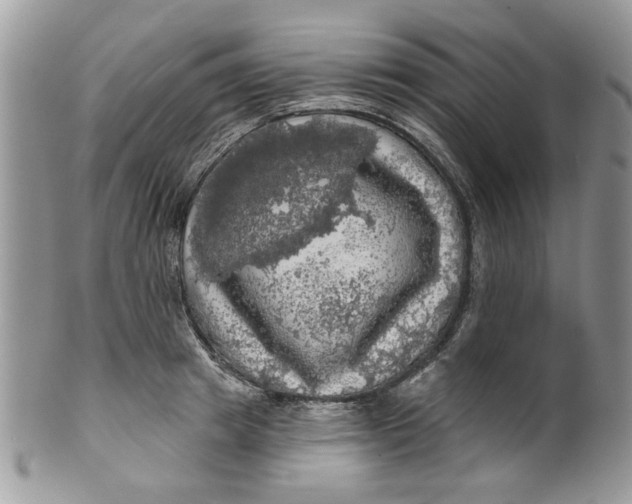 X0000099950849200806131446