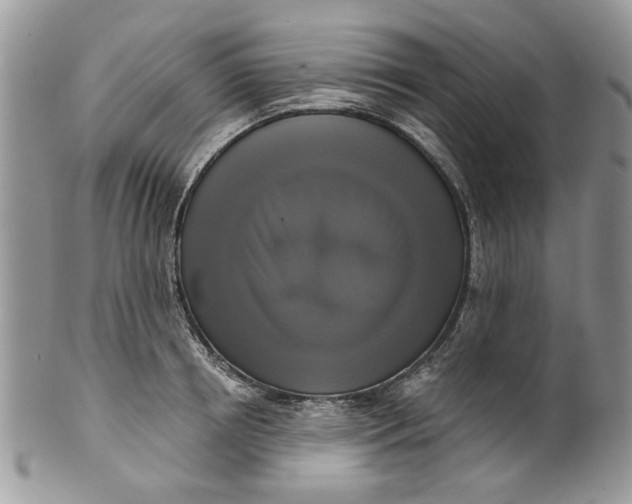 X0000099950850200806131446