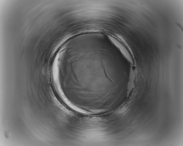 X0000099950851200806131446