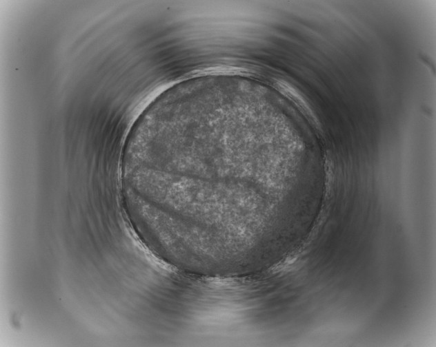 X0000099950852200806131446