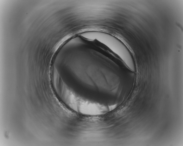 X0000099950853200806131446