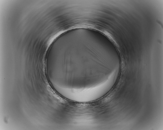 X0000099950854200806131446