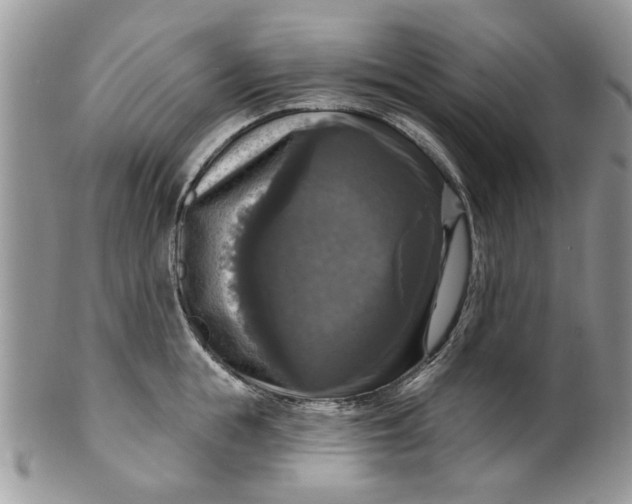 X0000099950855200806131446