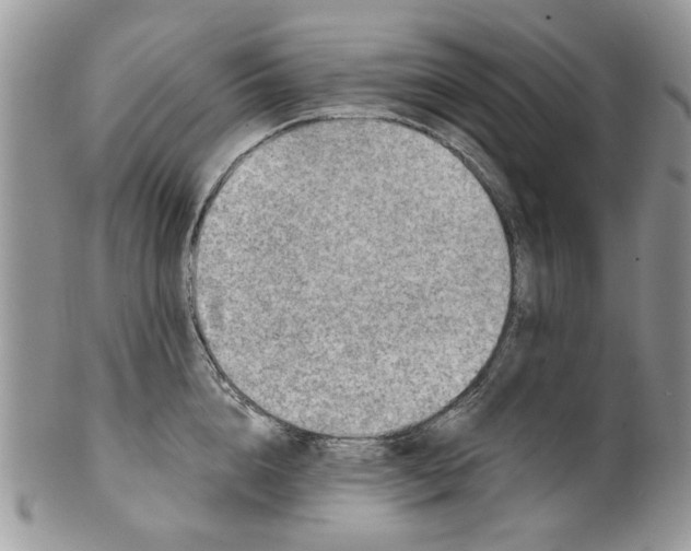 X0000099950856200806131446