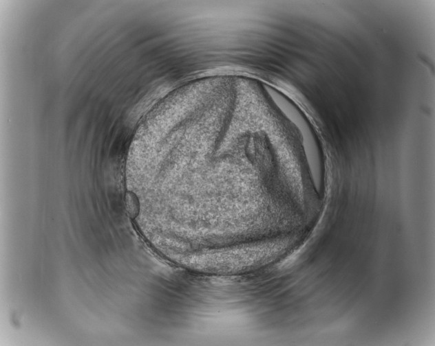 X0000099950857200806131446