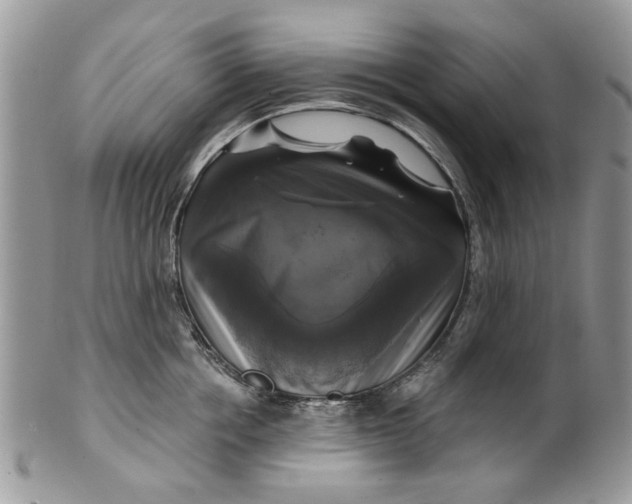 X0000099950858200806131446