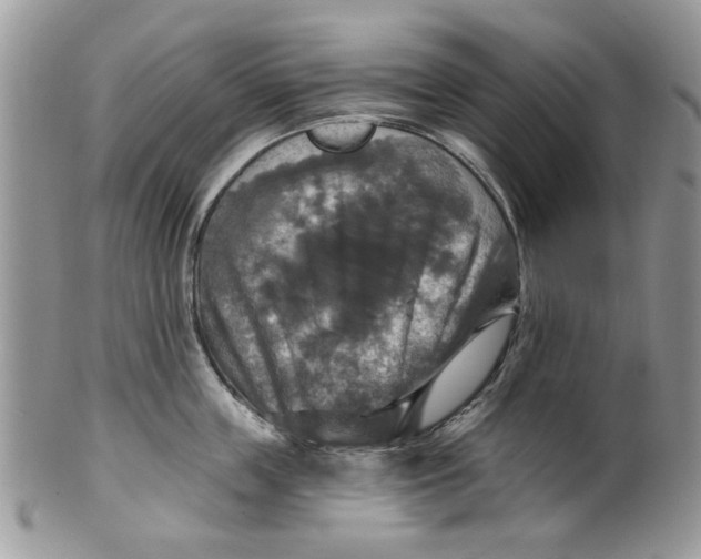 X0000099950859200806131446