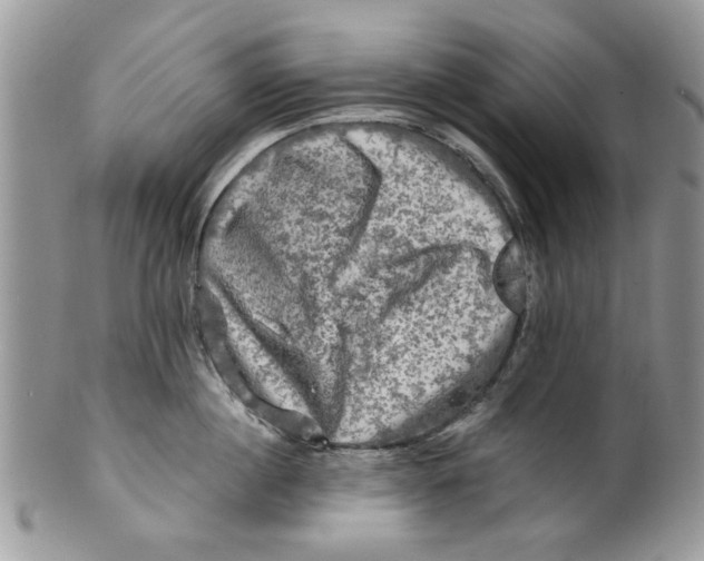 X0000099950860200806131446