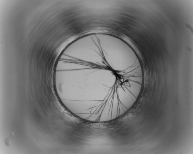 X0000099950861200806131446