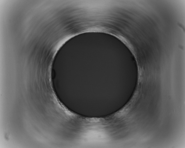 X0000099950862200806131446