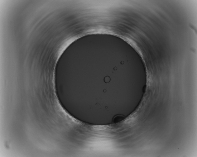 X0000099950863200806131446