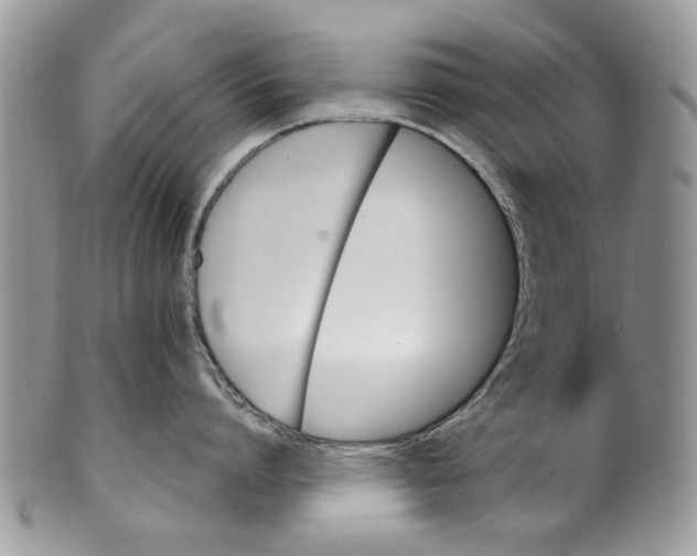 X0000099950864200806131446