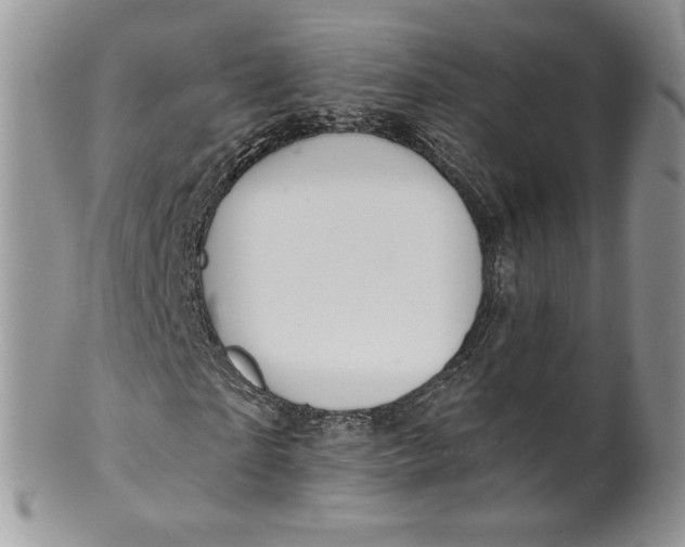 X0000099950865200806131445