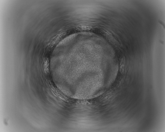 X0000099950866200806131445