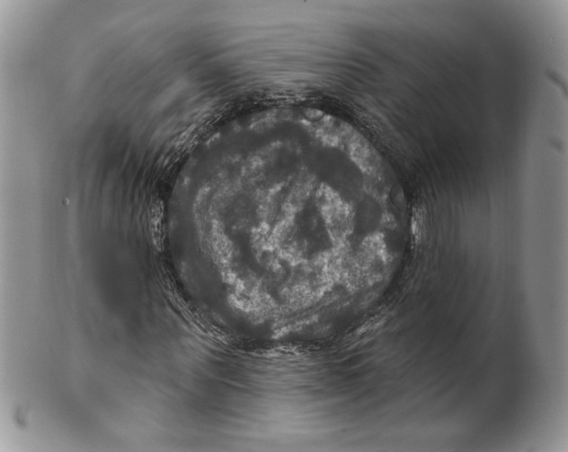 X0000099950867200806131445