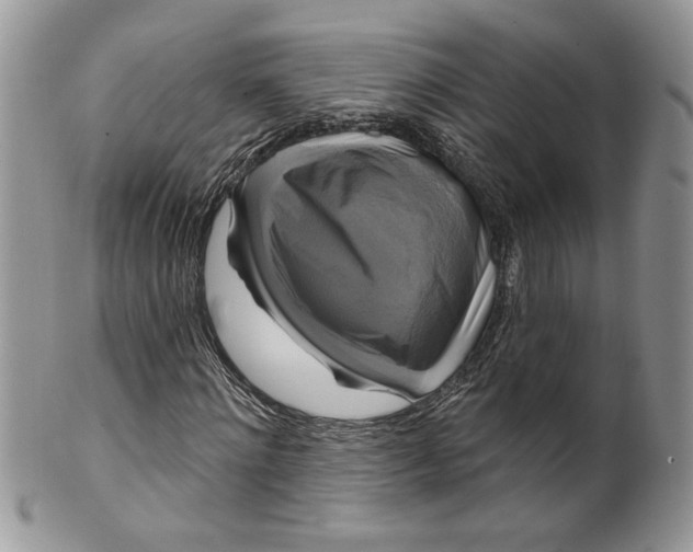 X0000099950868200806131445