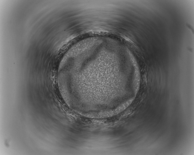 X0000099950870200806131445