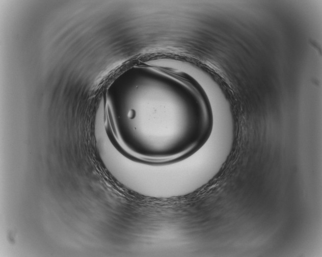 X0000099950872200806131445