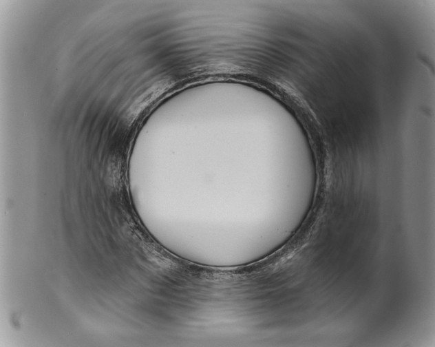 X0000099950873200806131445