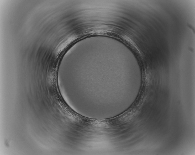 X0000099950874200806131445