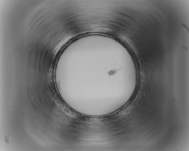 X0000099950875200806131445