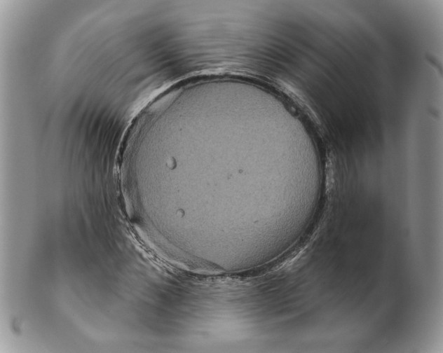 X0000099950876200806131445