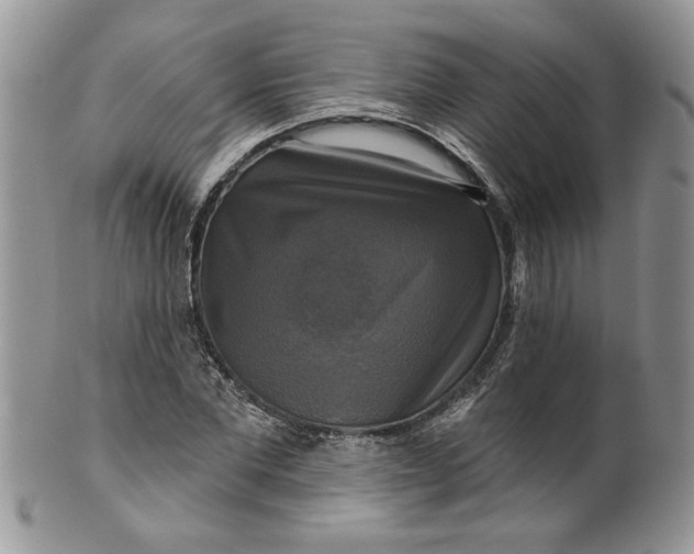 X0000099950877200806131445