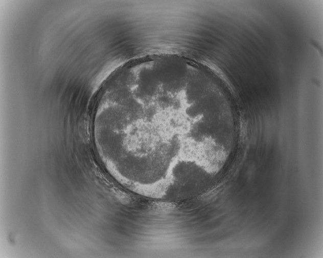 X0000099950878200806131445