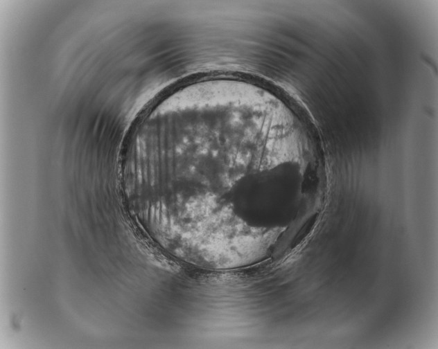 X0000099950879200806131445