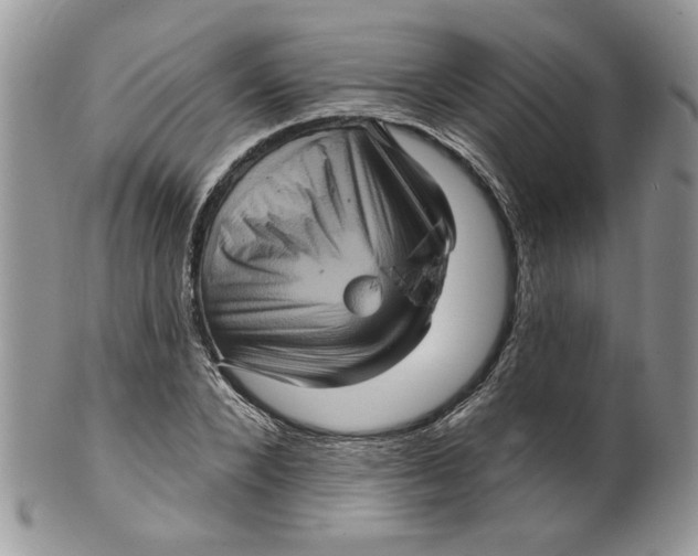 X0000099950880200806131445