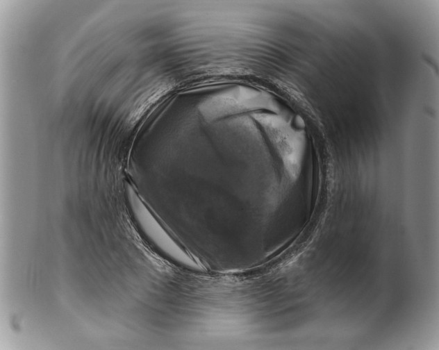 X0000099950881200806131445