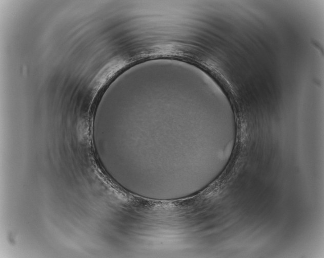 X0000099950882200806131445